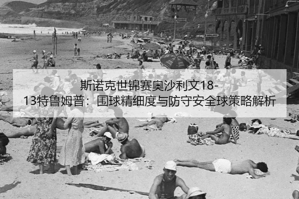 si-nuo-ke-shi-jin-sai-ao-sha-li-wen-te-lu-mu-pu-wei-qiu-jing-xi-du-yu-fang-shou-an-quan-qiu-ce-lve-jie-xi-3-947.jpg
